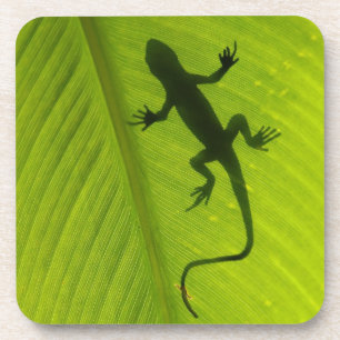 Dessous-de-verre Silhouette de Gecko