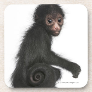 Dessous-de-verre Singe d'araignée rougeaud - paniscus d'Ateles (3