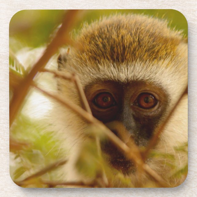 Dessous-de-verre Singe effronté. (Devant)