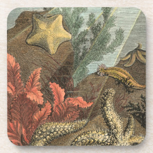 Dessous-de-verre Sous la mer