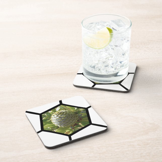 Dessous-de-verre Souvenir néo-zélandais Kauri Cone (Côté Droit)