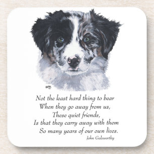 Dessous-de-verre Souvenirs Border Collie