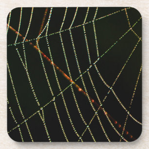 Dessous-de-verre Spider Web