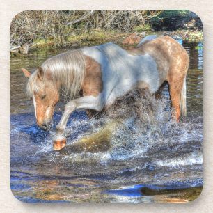 Dessous-de-verre Stallion Palomino Pinto jouant dans l'étang