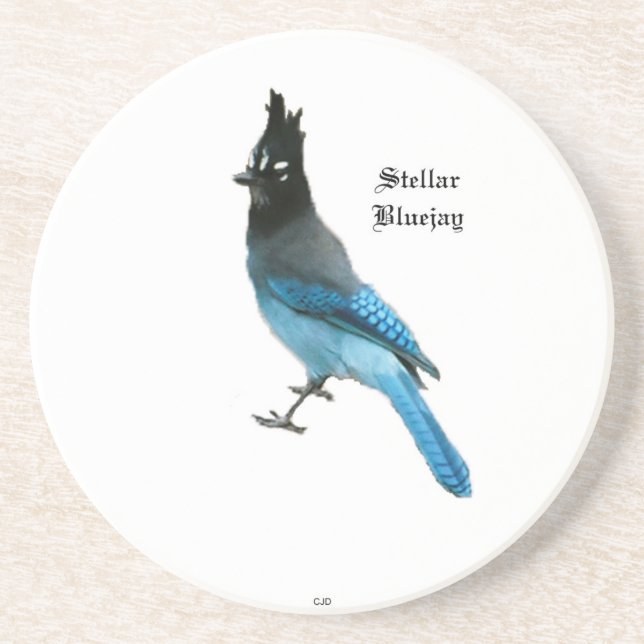 Dessous de verre Stellar Blue Jay (Devant)