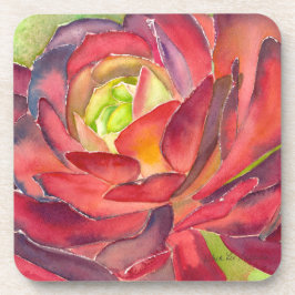 Dessous de verre succulents d'aquarelle par DLB