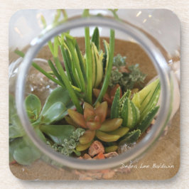 Dessous de verre succulents par Debra Lee Baldwin