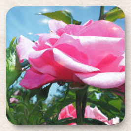 Dessous-de-verre Superbe rose rose dans le ciel bleu. Photographie 