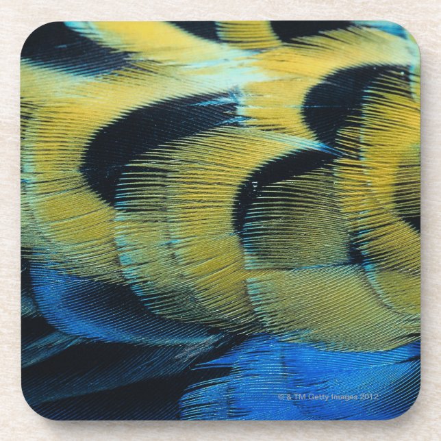 Dessous-de-verre Surface 4 de plume (Devant)