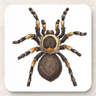Dessous-de-verre Tarantula