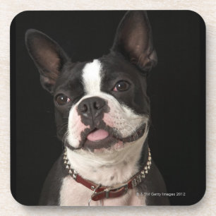 Dessous-de-verre Terrier de sourire de Boston avec le collier