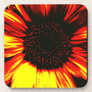 Dessous-de-verre tête de tournesol et pétales contemporains
