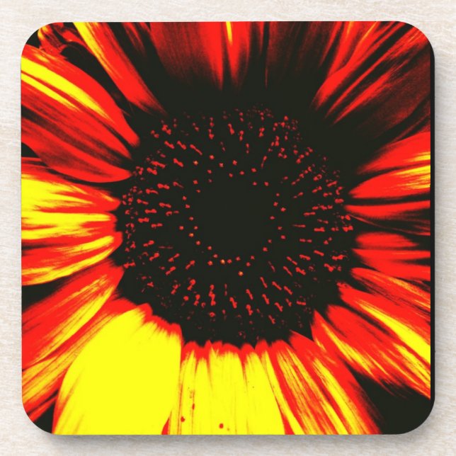 Dessous-de-verre tête de tournesol et pétales contemporains (Devant)