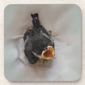 Dessous-de-verre Tidi my Bird le Parus Major