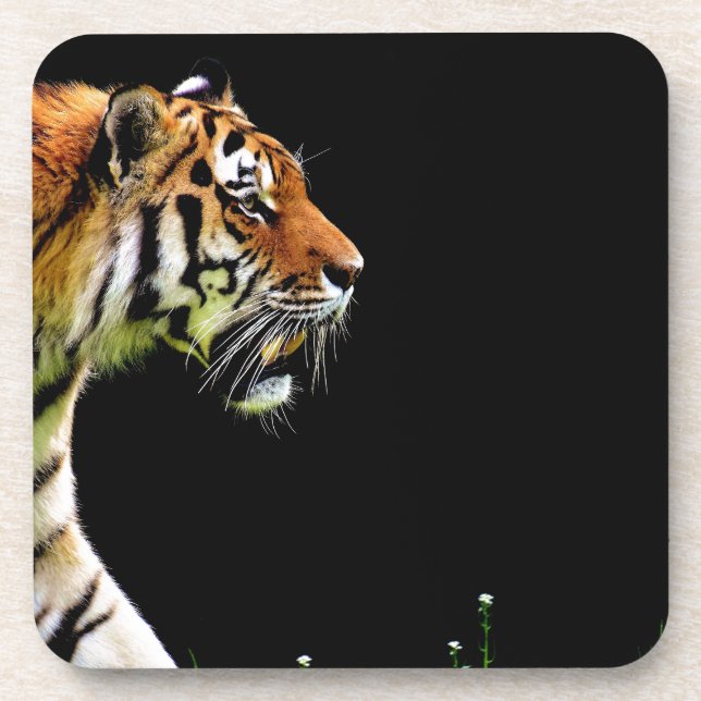Dessous-de-verre Tigre approchant - Oeuvres d'art d'animaux sauvage (Devant)