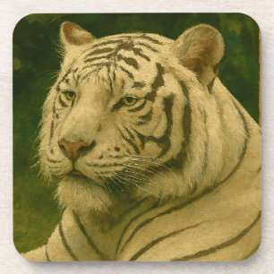 Dessous-de-verre Tigre blanc reposant dans l'ombre des bois