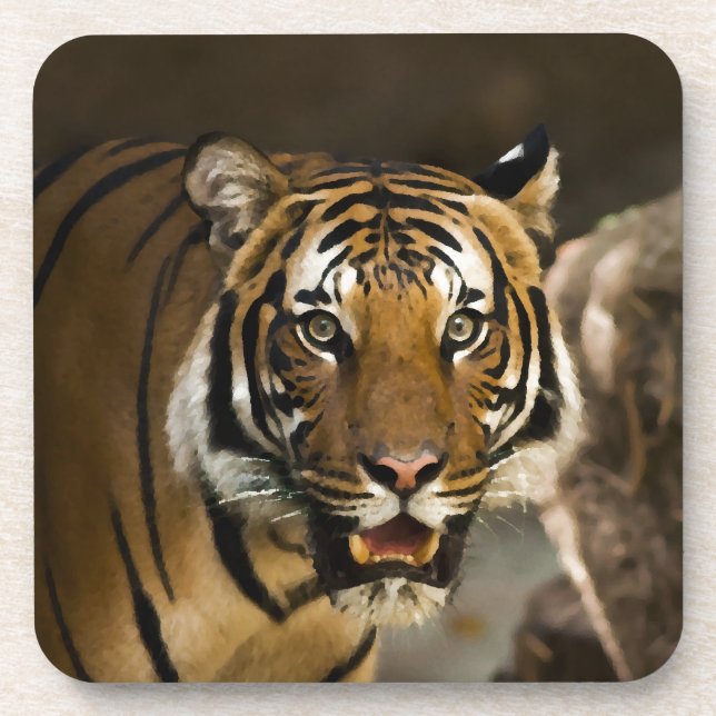 Dessous-de-verre Tigre de Sibérie (Devant)
