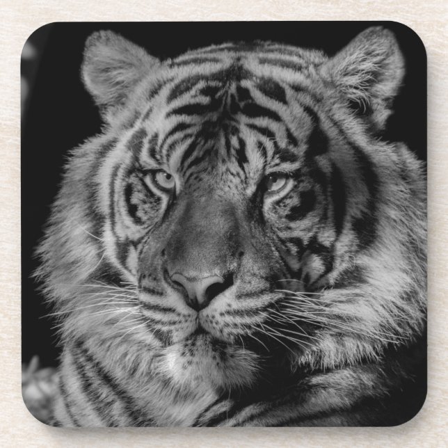 Dessous-de-verre Tigre noir et blanc (Devant)