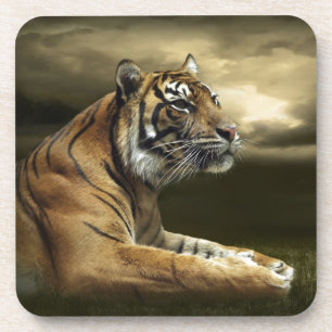 Dessous-de-verre Tigre regardant et se reposant sous le ciel
