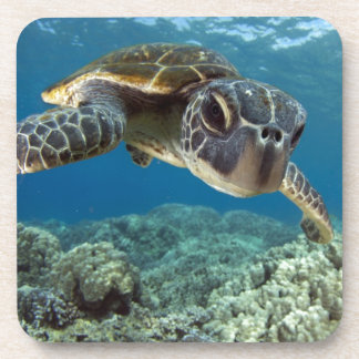 Dessous-de-verre Tortue de mer verte hawaïenne