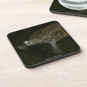 Dessous-de-verre Tortue de natation
