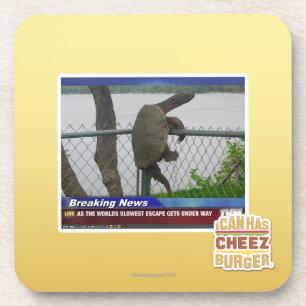 Dessous-de-verre Tortue d'Excaping