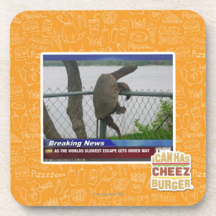 Dessous-de-verre Tortue d'Excaping