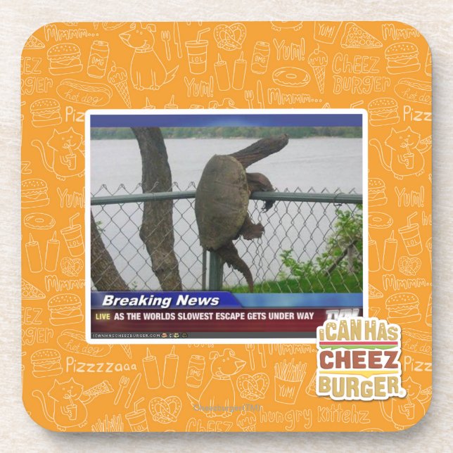 Dessous-de-verre Tortue d'Excaping (Devant)