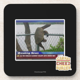 Dessous-de-verre Tortue d'Excaping