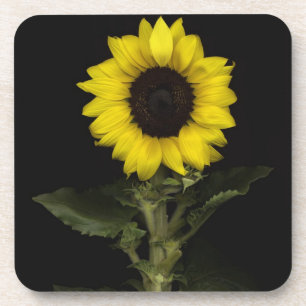 Dessous-de-verre Tournesol 11