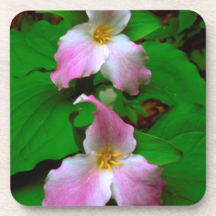 Dessous-de-verre Trillium Fleur sauvage