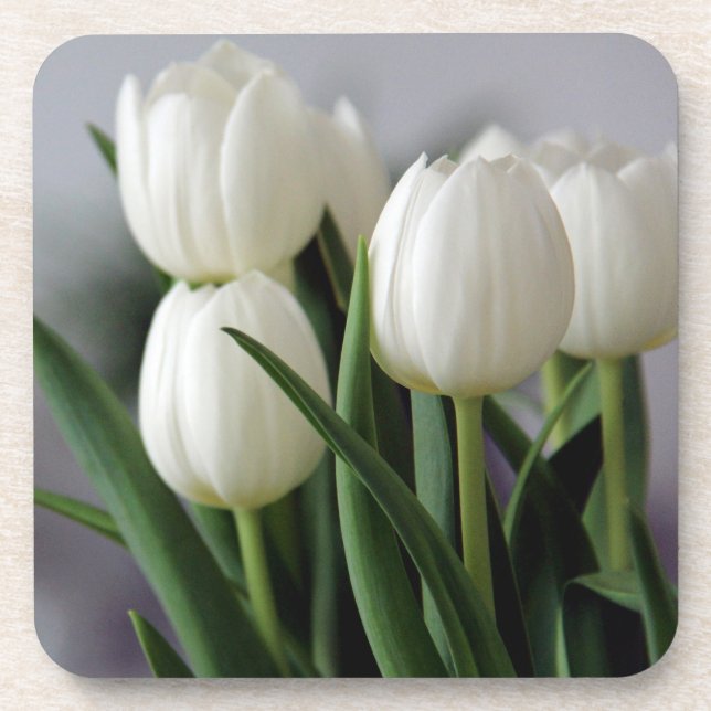 Dessous-de-verre Tulipe élégante et fleurs florales Roses Photograp (Devant)