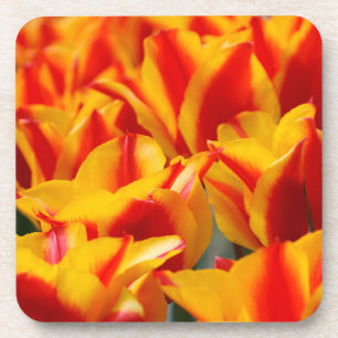 Dessous-de-verre Tulipes rouges et jaunes