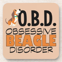 Un Beagle drôle observé