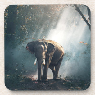 Dessous-de-verre Un éléphant asiatique dans un défrichement éclairé