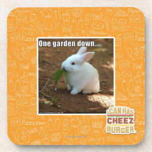 Dessous-de-verre Un jardin Down�