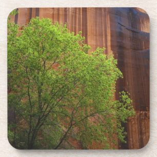 Dessous-de-verre USA, Utah, Paria Canyon - Vermillions Cliffs