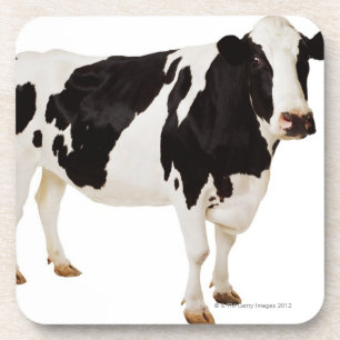 Dessous-de-verre Vache du Holstein (Taureau de Bos)