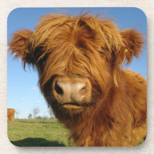 Dessous-de-verre Vache écossaise à boulettes - Ciel bleu