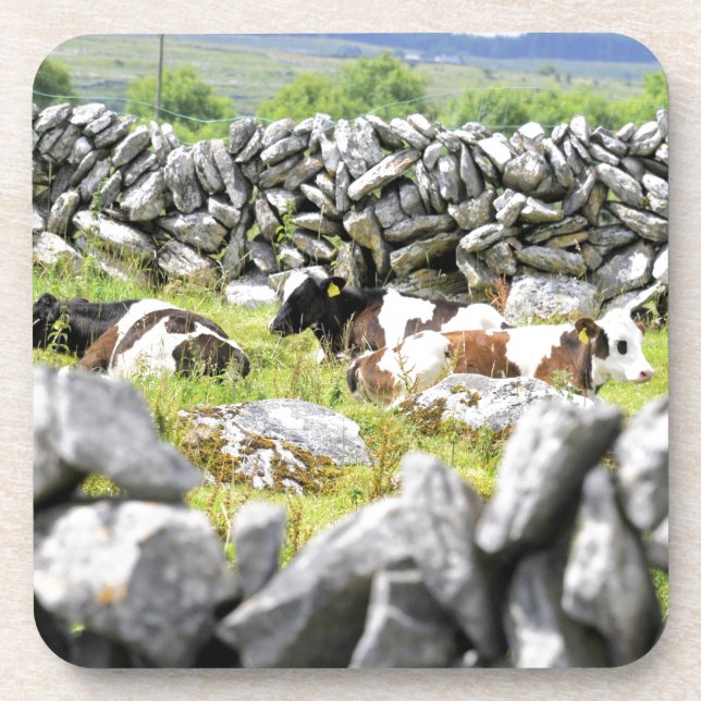 Dessous-de-verre Vaches Moo (Devant)