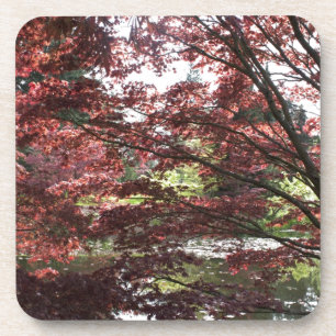 Dessous-de-verre Van Dusen Garden, Japanese Maple