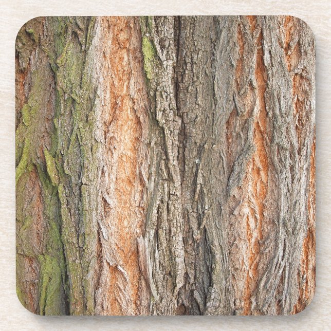 Dessous-de-verre vieux arbre (Devant)