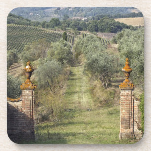 Dessous-de-verre Vignobles, Toscane, Italie