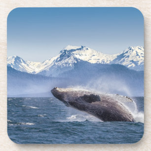 Dessous-de-verre Violation de la baleine de bosse en Alaska