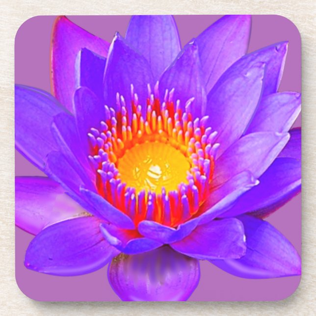 Dessous-de-verre Violet Lotus Flower (Devant)