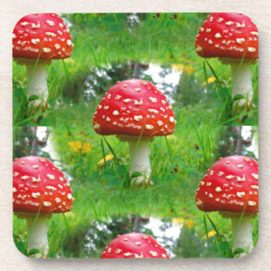 Dessous-de-verre Voler les champignons de l'Agaric