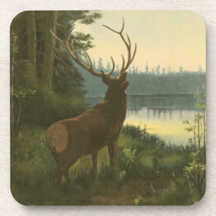 Dessous-de-verre Vue arrière du lac Elk Vue sur un lac