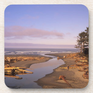 Dessous-de-verre WA, parc national olympique, plage de Kalaloch et 