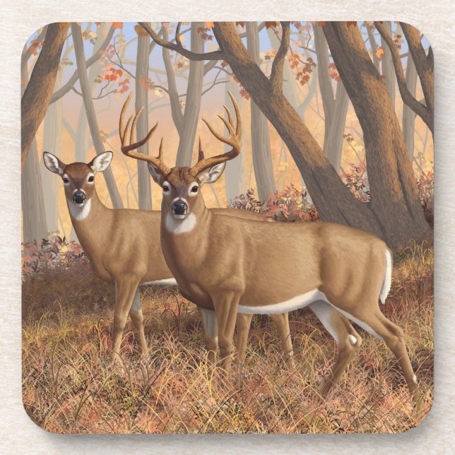 Dessous-de-verre White Deer Buck & Doe Automne Maple Woods (Devant)
