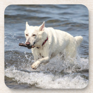 Dessous-de-verre White German Shepard sur le lac George